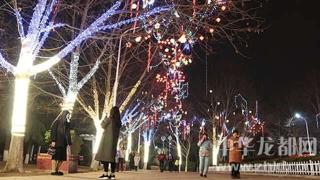 項(xiàng)城市民在燈光景觀樹(shù)下游玩