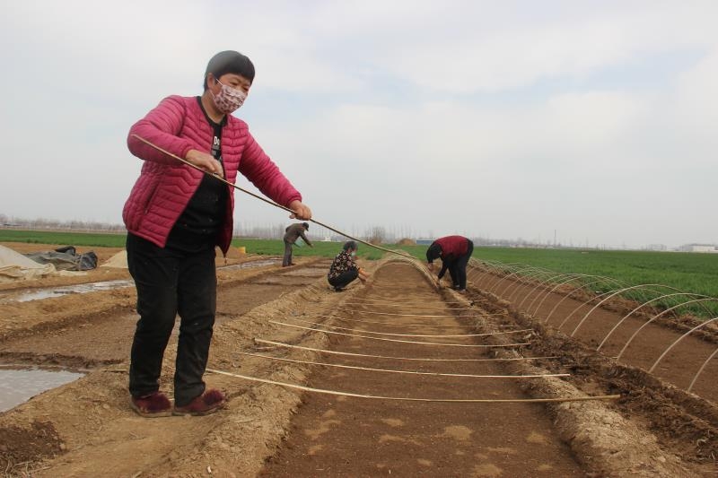 疫情防控、春耕生產(chǎn)兩手抓