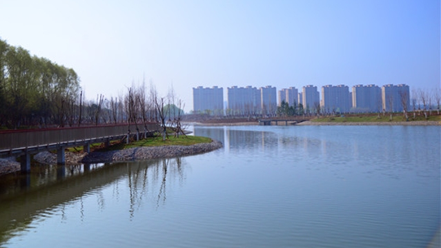 魚翔湖呈現(xiàn)水清岸綠 魚翔淺底美景